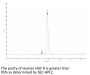 Human HGF R/c-MET Protein (MET-HM101)