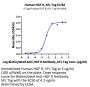 Human HGF R/c-MET Protein (MET-HM201)