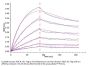 Human HGF R/c-MET Protein (MET-HM201)