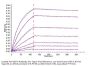 Human HGF R/c-MET Protein (MET-HM401)