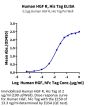 Human HGF R/c-MET Protein (MET-HM401)