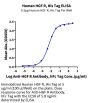 Human HGF R/c-MET Protein (MET-HM401)