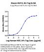 Mouse HGF R/c-MET Protein (MET-MM101)