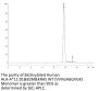 Biotinylated Human HLA-A*11:01&B2M&KRAS WT (VVVGAGGVGK) Monomer Protein (MHC-HE001B)