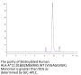 Biotinylated Human HLA-A*11:01&B2M&KRAS WT (VVGAGGVGK) Monomer Protein (MHC-HE002B)