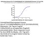 Biotinylated Human HLA-A*11:01&B2M&KRAS G12V (VVVGAVGVGK) Monomer Protein (MHC-HE005B)