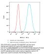 PE-Labeled Human HLA-A*11:01&B2M&KRAS G12V (VVVGAVGVGK) Tetramer Protein (MHC-HE005TP)