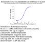 Biotinylated Human HLA-A*11:01&B2M&KRAS G12V (VVGAVGVGK) Monomer Protein (MHC-HE006B)