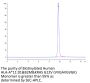 Biotinylated Human HLA-A*11:01&B2M&KRAS G12V (VVGAVGVGK) Monomer Protein (MHC-HE006B)