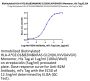 Biotinylated Human HLA-A*02:01&B2M&KRAS G12V (KLVVVGAVGV) Monomer Protein (MHC-HE007B)