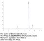 Biotinylated Human HLA-A*02:01&B2M&KRAS WT (KLVVVGAGGV) Monomer Protein (MHC-HE008B)