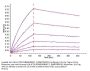 Human HLA-A*02:01&B2M&WT-1 (RMFPNAPYL) Monomer Protein (MHC-HE010)