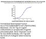 Biotinylated Human HLA-A*02:01&B2M&P53 WT (HMTEVVRRC) Monomer Protein (MHC-HE012B)