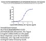 Human HLA-A*03:01&B2M&KRAS G12D (VVVGADGVGK) Monomer Protein (MHC-HE014)
