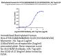 Biotinylated Human HLA-A*03:01&B2M&KRAS G12D (VVVGADGVGK) Monomer Protein (MHC-HE014B)