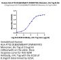 Human HLA-A*02:01&B2M&AFP (FMNKFIYEl) Monomer Protein (MHC-HE017)