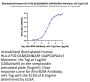Biotinylated Human HLA-A*02:01&B2M&ARF (AAPGAPAAV) Monomer Protein (MHC-HE024B)