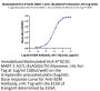 Biotinylated Human HLA-A*02:01&B2M&MART-1 A27L (ELAGIGILTV) Monomer Protein (MHC-HE035B)