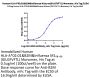 Human HLA-A*02:01&B2M&Influenza M1₅₈₋₆₆ (GILGFVFTL) Monomer Protein (MHC-HE038)