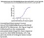 Biotinylated Human HLA-A*02:01&B2M&Influenza M1₅₈₋₆₆ (GILGFVFTL) Monomer Protein (MHC-HE038B)