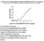 Human HLA-A*11:01&B2M&EGFR L858R (KITDFGRAK) Monomer Protein (MHC-HE039)