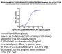 Biotinylated Human HLA-A*11:01&B2M&EGFR L858R (KITDFGRAK) Monomer Protein (MHC-HE039B)
