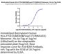 Biotinylated Human HLA-A*02:01&B2M&Foxp3 (TLIRWAILEA) Monomer Protein (MHC-HE041B)
