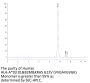 Human HLA-A*03:01&B2M&KRAS G12V (VVGAVGVGK) Monomer Protein (MHC-HE042)