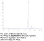 Biotinylated Human HLA-A*03:01&B2M&KRAS WT (VVGAGGVGK) Monomer Protein (MHC-HE043B)