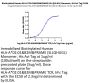 Biotinylated Human HLA-A*02:01&B2M&PRAME (SLLQHLIGL) Monomer Protein (MHC-HE045B)