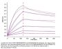 Biotinylated Human HLA-A*02:01&B2M&MAGE-A4 (GVYDGREHTV) Monomer Protein (MHC-HE047B)