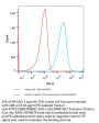 PE-Labeled Human HLA-A*02:01&B2M&NY-ESO-1 (SLLMWITQC) Tetramer Protein (MHC-HE446TP)
