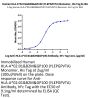 Human HLA-A*02:01&B2M&GP100 (YLEPGPVTA) Monomer Protein (MHC-HM402)