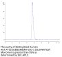 Biotinylated Human HLA-A*02:01&B2M&NY-ESO-1 (SLLMWITQV) Monomer Protein (MHC-HM40NB)
