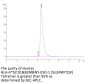 Human HLA-A*02:01&B2M&NY-ESO-1 (SLLMWITQV) Tetramer Protein (MHC-HM40NT)