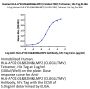 Human HLA-A*02:01&B2M&LMP2 (CLGGLLTMV) Tetramer Protein (MHC-HM411T)