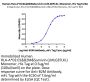 Human HLA-A*02:01&B2M&Survivin (LMLGEFLKL) Monomer Protein (MHC-HM412)