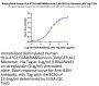 Biotinylated Human HLA-A*02:01&B2M&Survivin (LMLGEFLKL) Monomer Protein (MHC-HM412B)