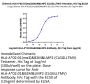 Chimeric HLA-A*02:01 (mα3) &B2M&LMP2 (CLGGLLTMV) Tetramer Protein (MHC-HM413T)