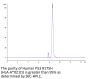 Human HLA-A*02:01&B2M&P53 R175H (HMTEVVRHC) Monomer Protein (MHC-HM415)
