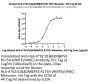 Human HLA-A*02:01&B2M&P53 R175H (HMTEVVRHC) Monomer Protein (MHC-HM415)