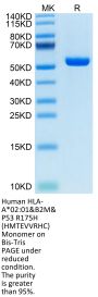 Human HLA-A*02:01&B2M&P53 R175H (HMTEVVRHC) Monomer Protein (MHC-HM415)