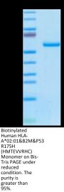 Biotinylated Human HLA-A*02:01&B2M&P53 R175H (HMTEVVRHC) Monomer Protein (MHC-HM415B)