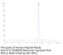 Human Peptide Ready HLA-A*11:01&B2M Monomer Protein (MHC-HM41R)