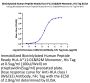 Biotinylated Human Peptide Ready HLA-A*11:01&B2M Monomer Protein (MHC-HM41RB)
