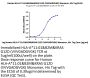 Human HLA-A*11:01&B2M&KRAS G12D (VVVGADGVGK) Monomer Protein (MHC-HM420)