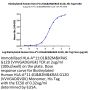 Biotinylated Human HLA-A*11:01&B2M&KRAS G12D (VVVGADGVGK) Monomer Protein (MHC-HM420B)