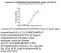 Human HLA-A*11:01&B2M&KRAS G12D (VVVGADGVGK) Tetramer Protein (MHC-HM420T)