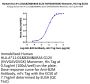 Human HLA-A*11:01&B2M&KRAS G12V (VVVGAVGVGK) Monomer Protein (MHC-HM421)