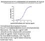 Biotinylated Human HLA-A*11:01&B2M&KRAS G12V (VVVGAVGVGK) Monomer Protein (MHC-HM421B)